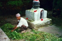 worker-separating-herbs